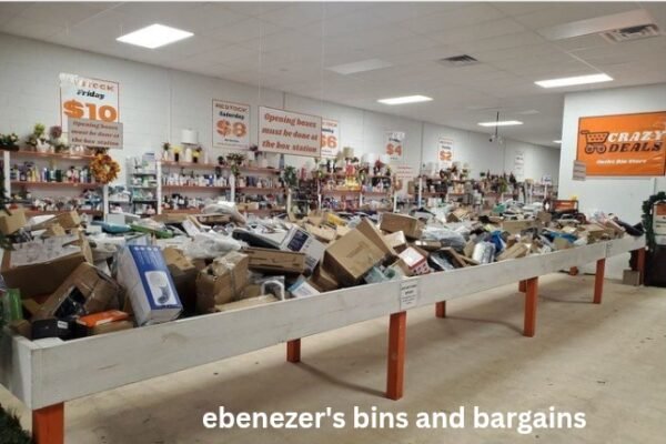 Ebenezer's Bins and Bargains: A Complete Guide to Smart Shopping and Incredible Deals