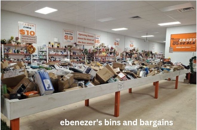 Ebenezer's Bins and Bargains: A Complete Guide to Smart Shopping and Incredible Deals